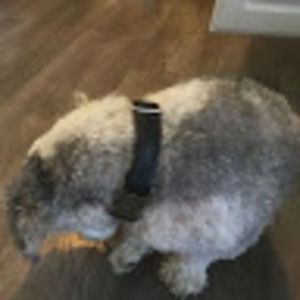 Meet your Posher, Karly